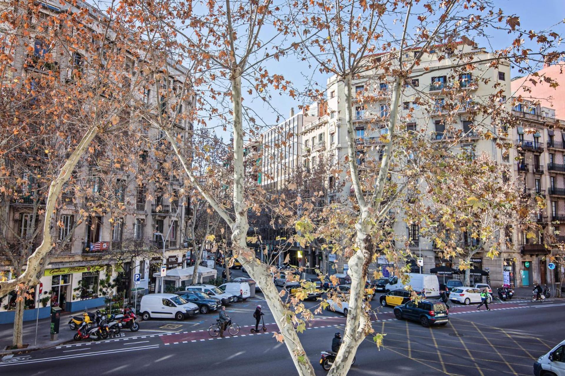 Comte Urgell Διαμέρισμα Βαρκελώνη Εξωτερικό φωτογραφία